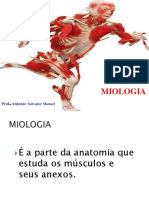 Aula 5 - S.Muscular