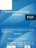 Sistemática de Protozoarios