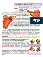 Osteologia de Miembro Superior PDF