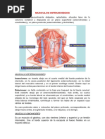 Cirugia Bucal