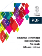 44 Estatuto Administrativo Municipales Avanzado Calificaciones y Escalafones