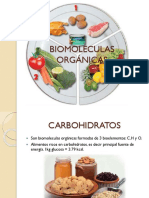 Biomoleculas Orgánicas