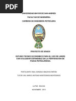 Proyecto de Grado RGBF PDF