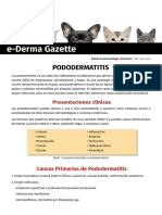 E-Derma Gazette N 6 Pododermatitis