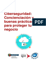 Ciber Seguridad