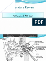 CSOM Retroauricular Fistula