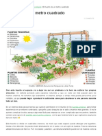 El Huerto de Un Metro Cuadrado