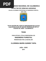 Evaluación Del Efecto Depurador de Guadua Angustifolia Kunth de Aguas Residuales de La Ciudad de Jaén - Cajamarca