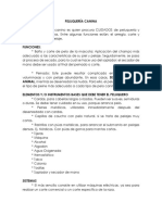 PELUQUERÍA CANINA (Funciones y Responsabilidades)