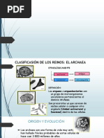 Archaea-C S