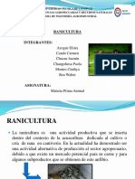 Presentacion Ranicultura