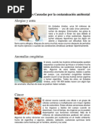 Enfermedades Causadas Por La Contaminación Ambiental