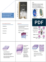 Lecture 2b - Types of Tissues (Joel)