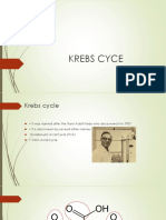 Krebs Cycle