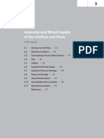 Anatomy and Blood Supply of The Urethra and Penis: J. K.M. Quartey