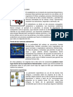 Teoria Del Metabolismo