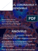 Rinovirus