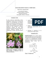 Antitumorales Del Reino Vegetal y Derivados