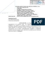 Exp. Luz 1 PDF