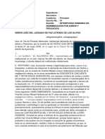 Demanda de Indemnización de Daños y Perjuicios Aya Cucho