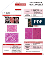 (Patho) 1s-3 Cell Adaptation, Injury and Death