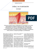 Las Heridas y Su Cicatrización: Dermatología