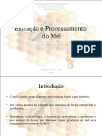 Extração e Processamento Do Mel