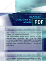 Capítulo 1 Conceitos Básicos de Administração