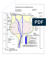 Model Low Sulphidation