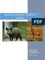 Produccion de Ciervo y Jabali