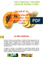 Taller 1 DeterminaciÃ N de Ã Ndices de Madurez