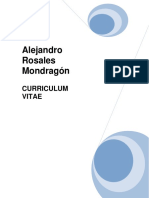 Alejandro Rosales Mondragón: Curriculum Vitae