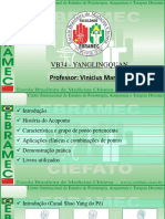 Protocolos Clássicos de Acupuntura Análise e Aplicações