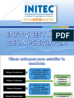 Enfoques y Áreas de La Psicología PDF