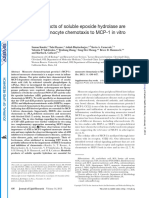 Metabolic Products of Soluble Epoxide Hydrolase Are Essential For Monocyte Chemotaxis To MCP-1 in Vitro and in Vivo