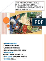 Actividades Productivas de Bolivia