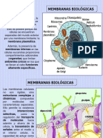 Membranas Biológicas