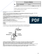 Teste Seus Conhecimento - 3EM - Fisiologia Humana