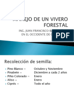 Manual de Viveros Forestales en El Occidente de Guatemala PDF