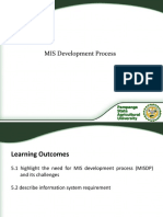 05 MIS Development Process