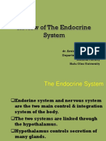 Review of The Endocrine System: Dr. Amiruddin Eso, M.Kes Department of Physiology Medical Faculty Halu Oleo University