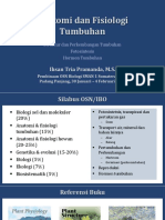 Anatomi Dan Fisiologi Tumbuhan: Ihsan Tria Pramanda, M.S