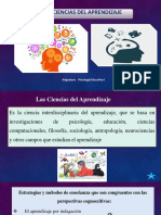 Ciencias de Aprendizaje - Amelia PDF