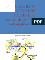 Cure by A Pathogen'S Pathogen: Bacteriophage THERAPY and Insights of Lysins