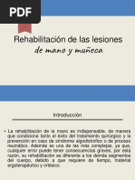 Rehabilitación-De-Las-Lesiones-De-La-Mano y Muñeca Final-1