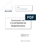 Clostridium Perfingens