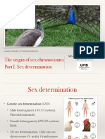 The Origin of Sex Chromosomes Part I. Sex Determination: Lucas Claudio Fernández Lalanne