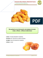 Recopilacion Olluco PDF