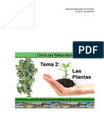 5 CCNN Tema2 PDF