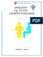 Plan Operativo Hospital Lazarte